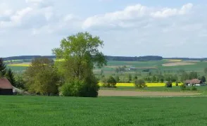 Bataille d'Eckmühl