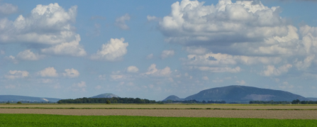 Les déplacements de Napoléon au cours de la campagne d'Autriche