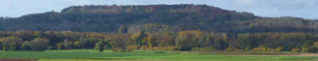 Les déplacements de Napoléon pendant la campagne de France