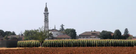 Bataille de Marengo