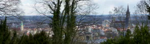 Bataille d'Ulm