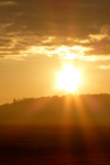 Le soleil d'Austerlitz