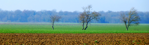 Terrestrial battlefields