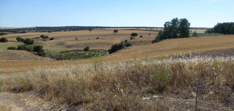 Le Teston de la Cabaña, situé au sud du village Los Arapiles