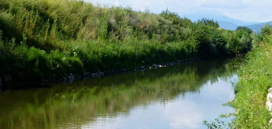 The Alpone River near Arcole