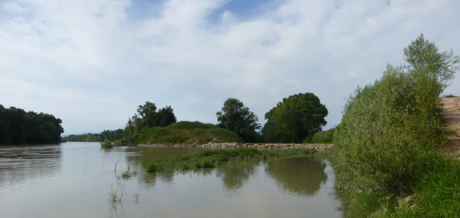 The confluence of the Alpone stream and the Adige river
