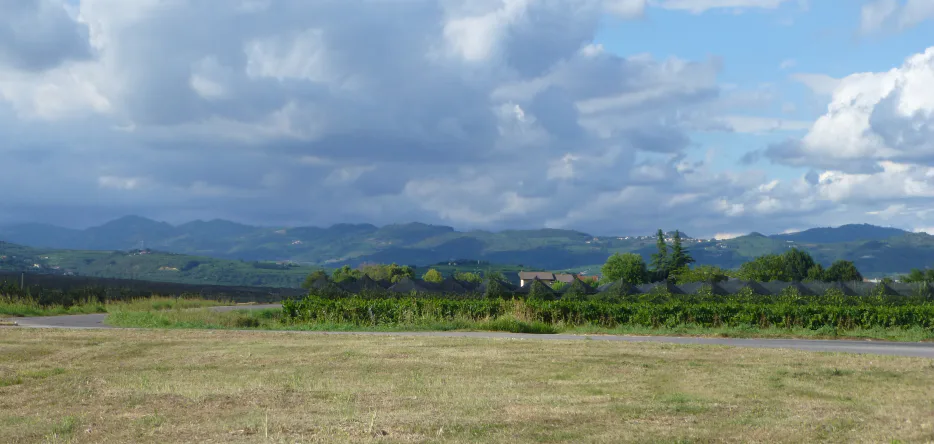 Porcil
