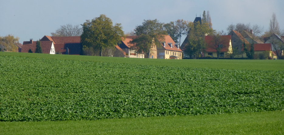 Hassenhausen, general view