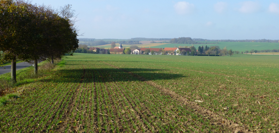 Spielberg, general view