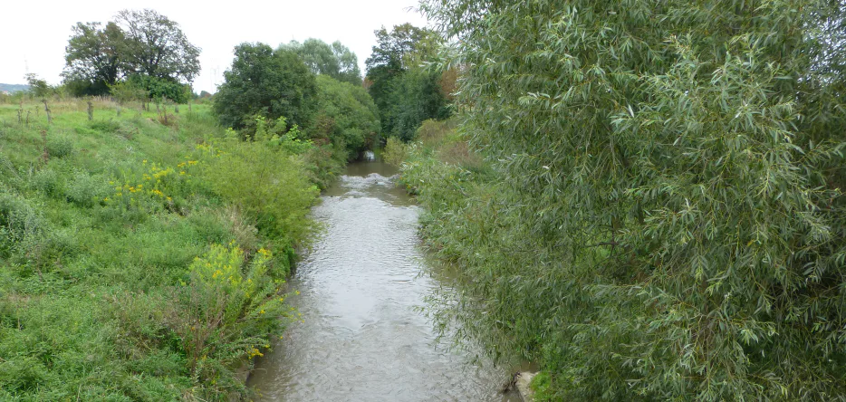Le ruisseau Goldbach