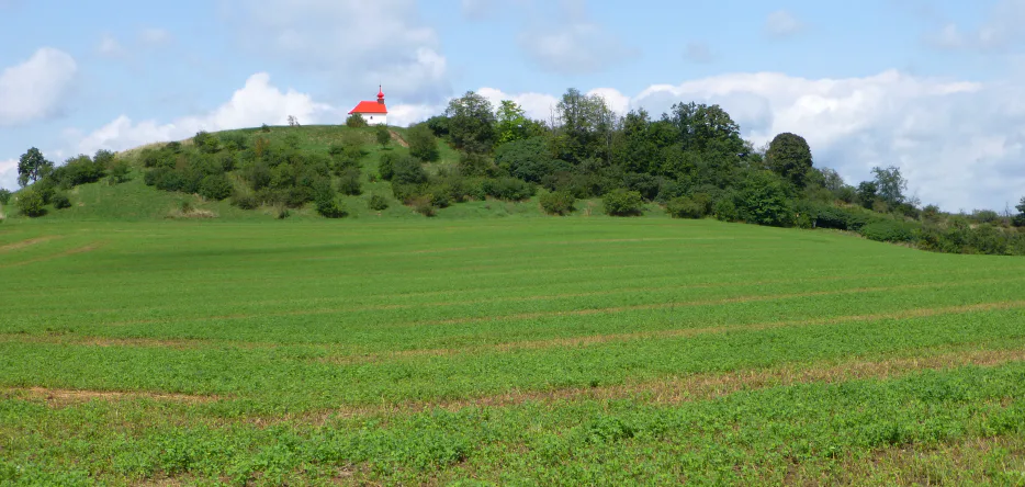 La colline du Santon à Bosenitz [Tvarožná]