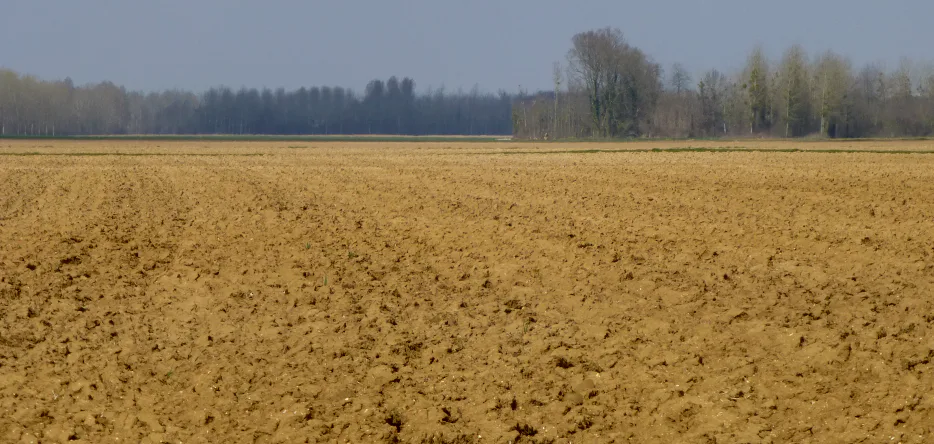 La plaine de Brienne
