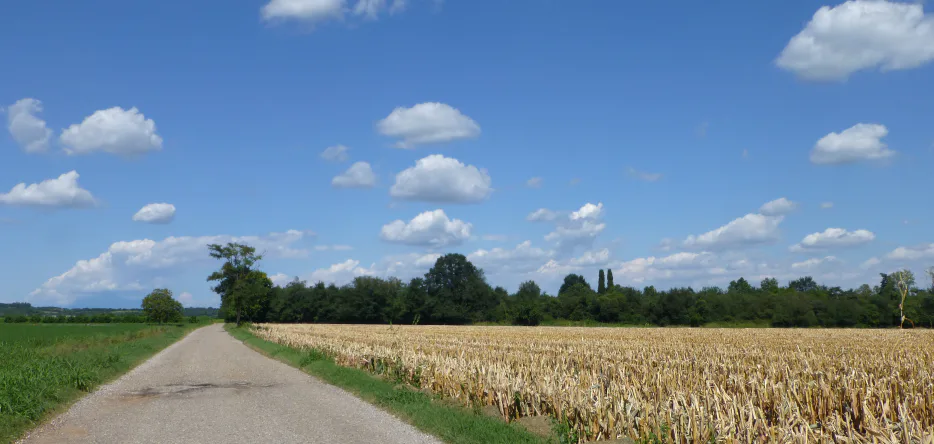 Monte Medolano, seen from the south