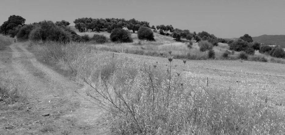 A landscape in Castile