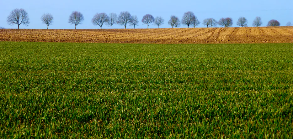 Le champ de bataille près du hameau de La Caure