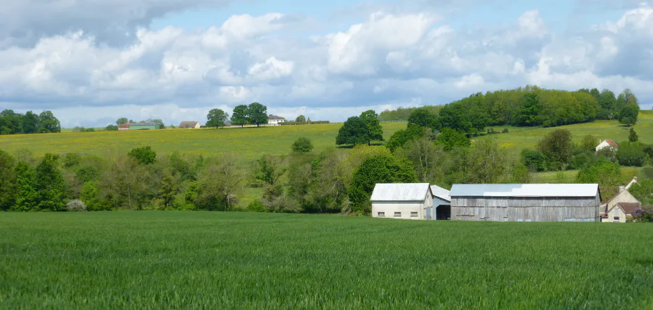Les Petites-Noues, 8 kilometers south-southeast of Château-Thierry