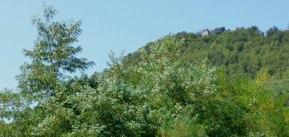 The hill and the ruins of Cosseria Castle