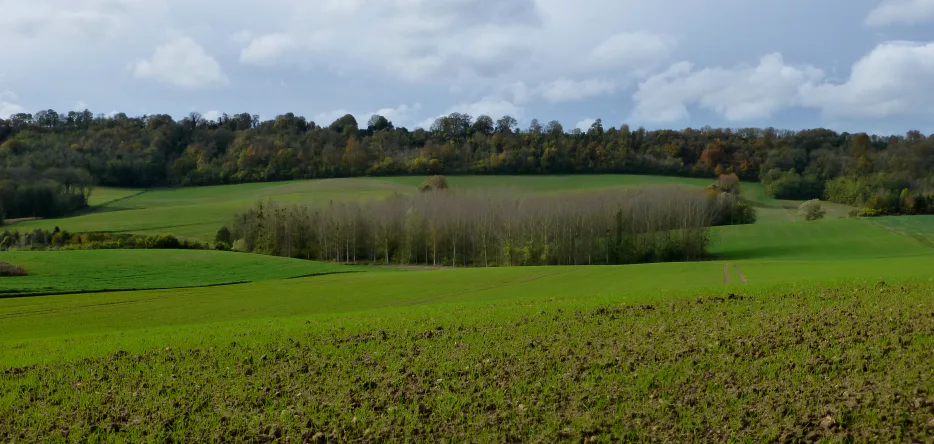 Champ de bataille en contrebas de la ferme d'Hurtebise