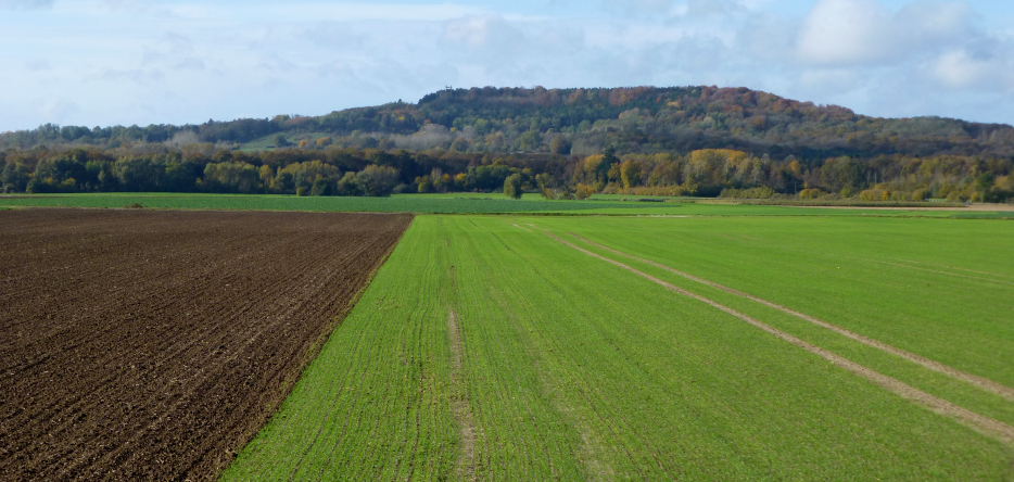 Le plateau de Craonne