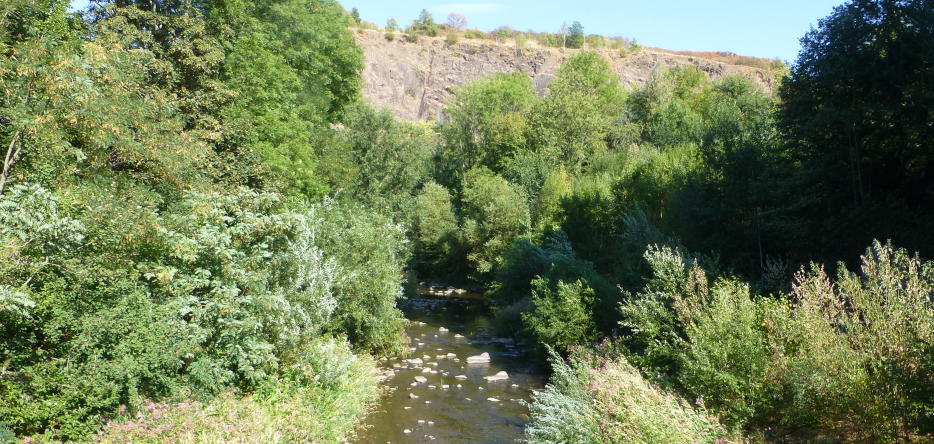 La vallée du Weisseritz