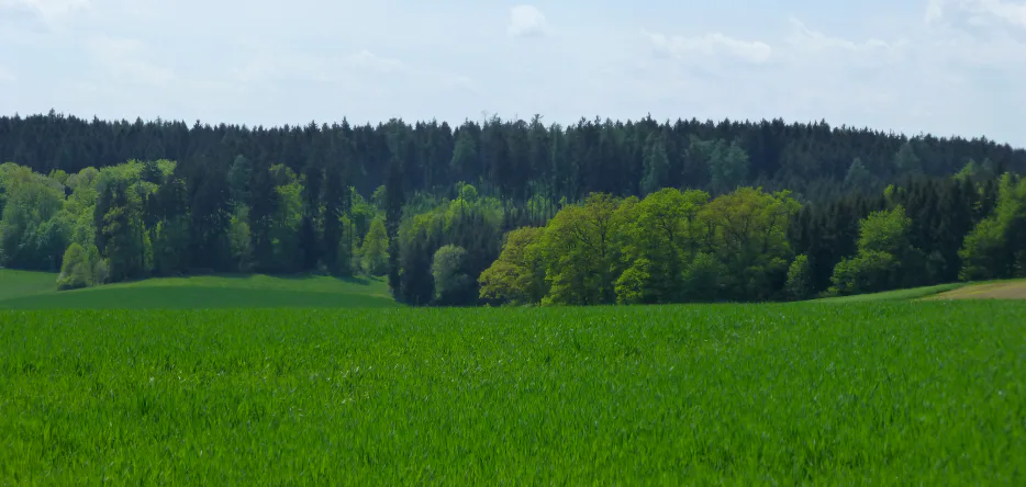 Le champ de bataille aux environs de Luckenpaint
