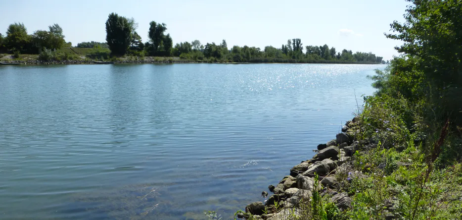 Le Danube au nord de Vienne, vu depuis la rive droite