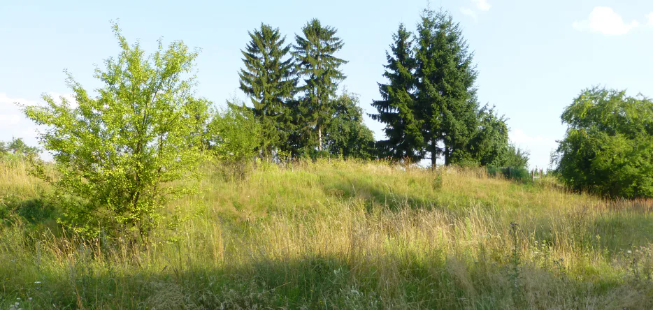 The mound of the 14th line regiment at Eylau