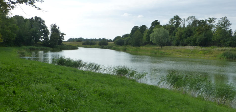 La rivière Alle aux environs de Friedland
