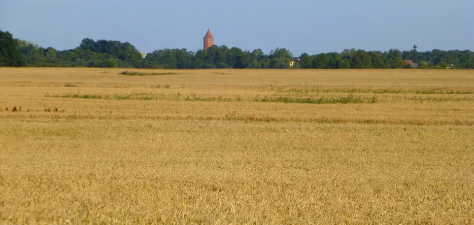 Le champ de bataille à Friedland