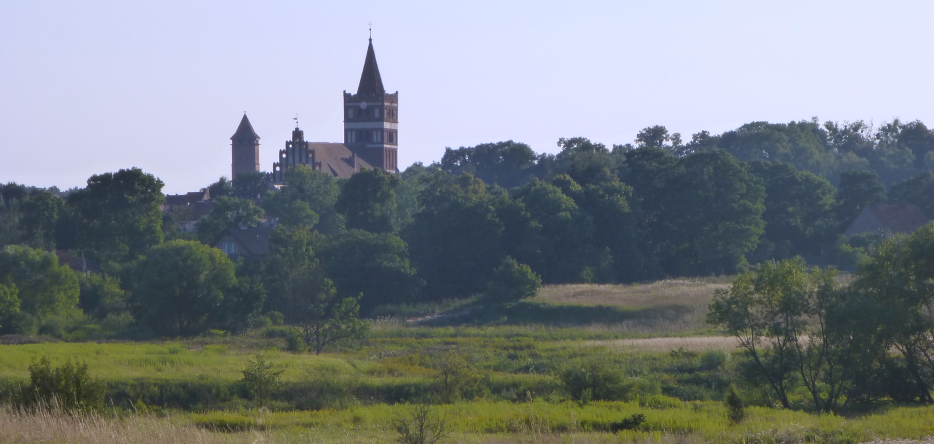 Friedland : l'église Saint-Georges et les bois environnant la ville