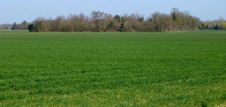 Emplacement de la ferme de Beugné, aujourd'hui disparue