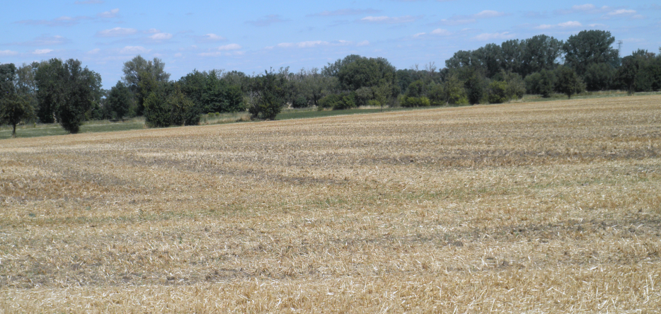 The battlefield near Rahna