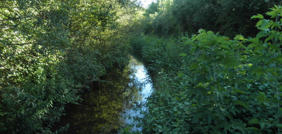 Thee Flossgraben