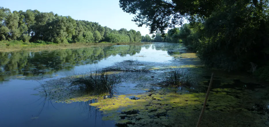 La rivière Bormida près d'Alessandria