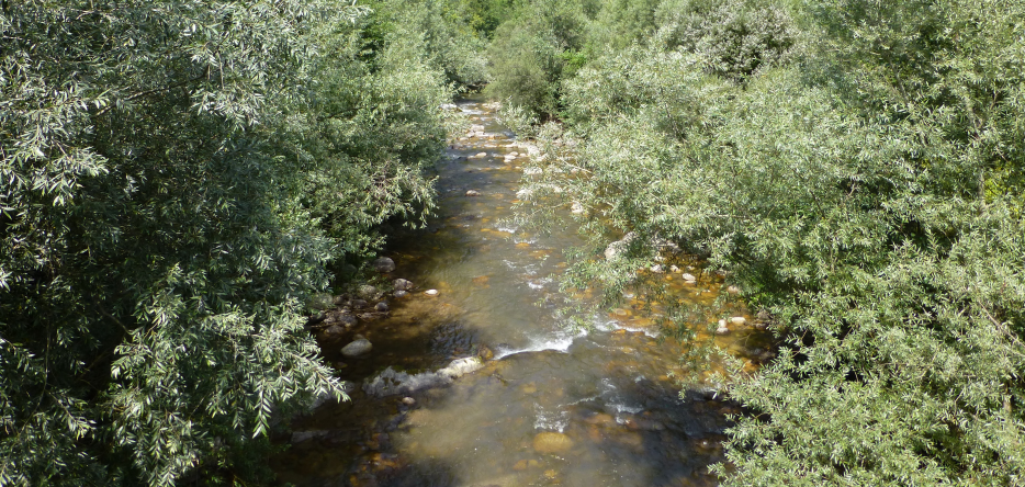 La rivière Corsaglia, non loin de San Michele