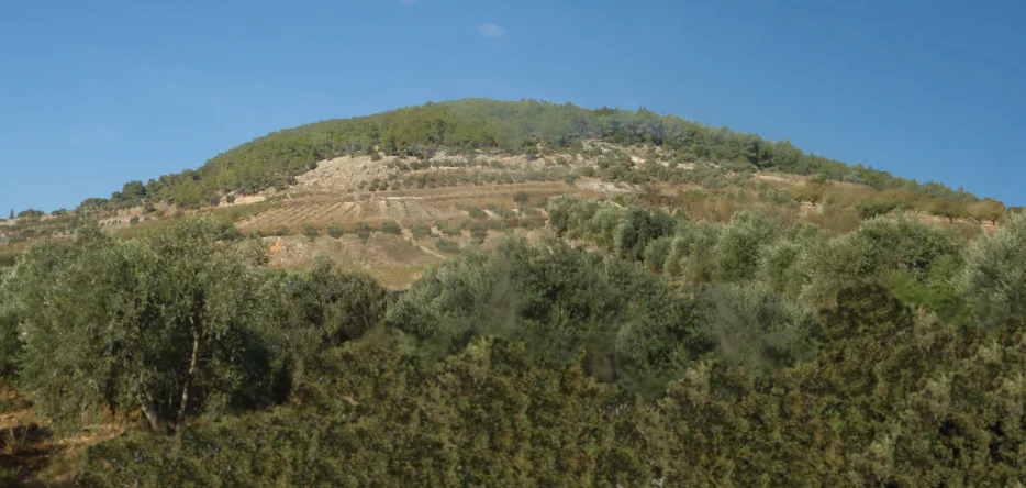 View #2 of Mount Tabor