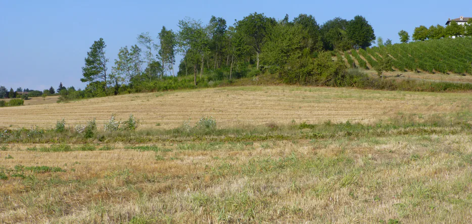 The heights above Casteggio