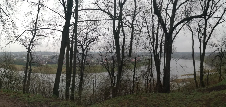 A meander of the Neman south of Kovno A meander of the Neman, south of Kovno