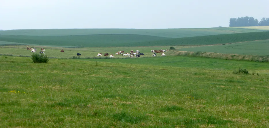 Le champ de bataille des Quatre-Bras