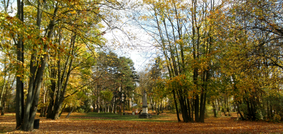 La colline Sainte-Geneviève près de Reims