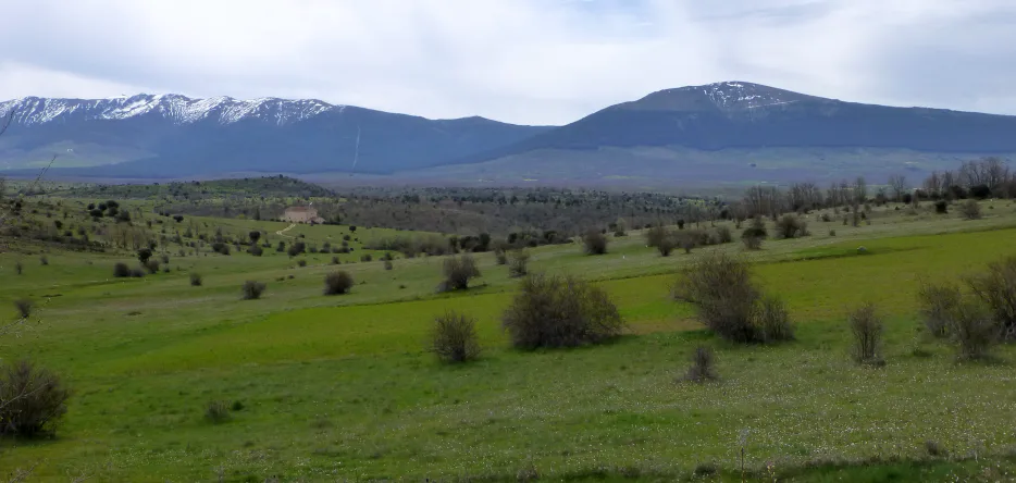 Sierra de Ayllón