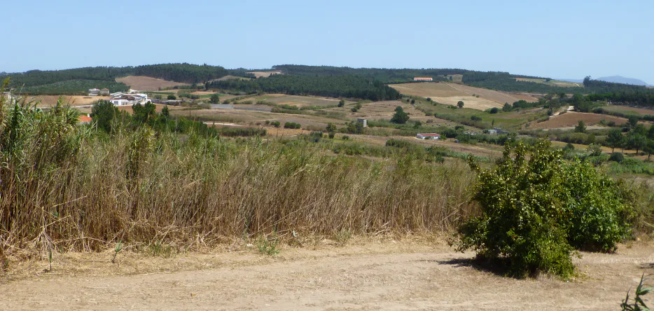 Le champ de bataille de Vimeiro