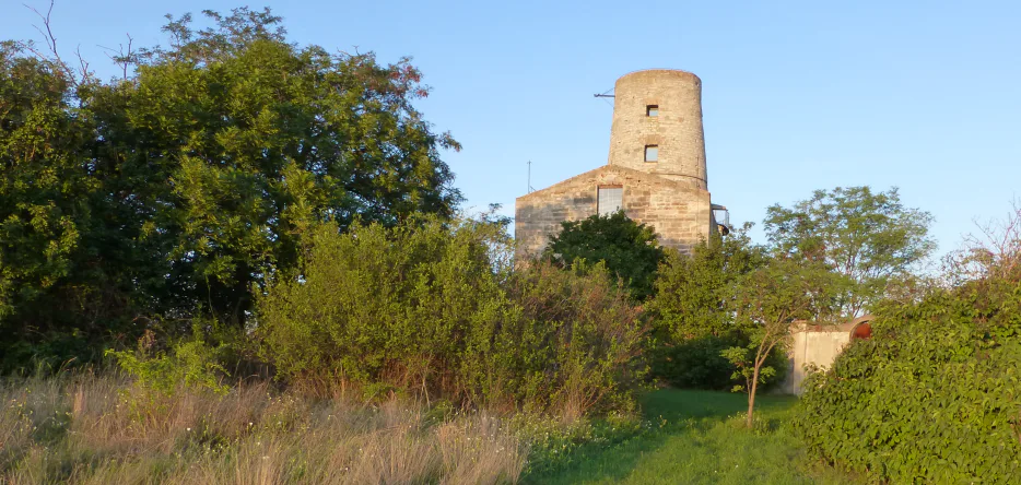 La tour à Markgrafneusiedl