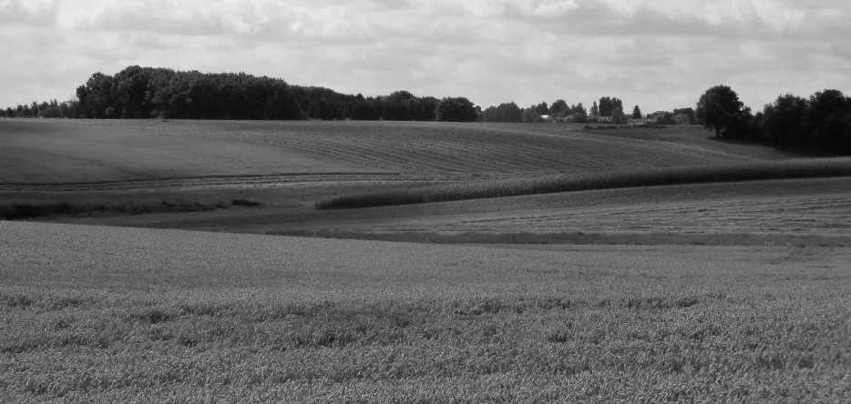The Waterloo battlefield