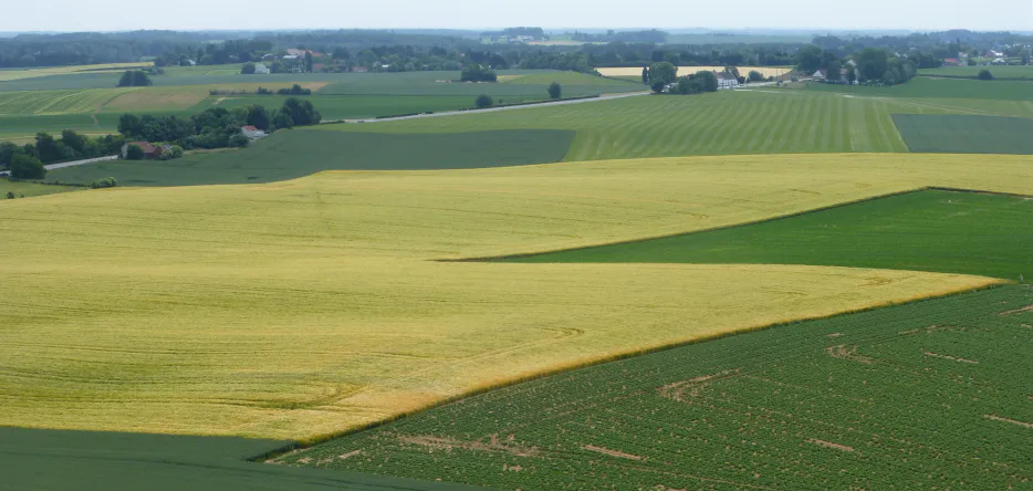 Le champ de bataille à Waterloo