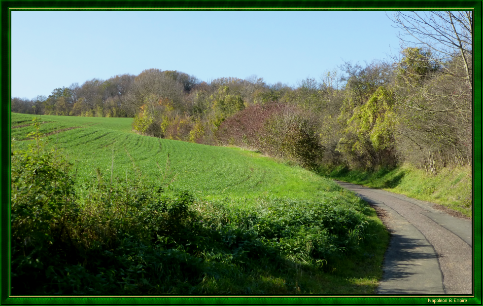 Path leading at Cospeda