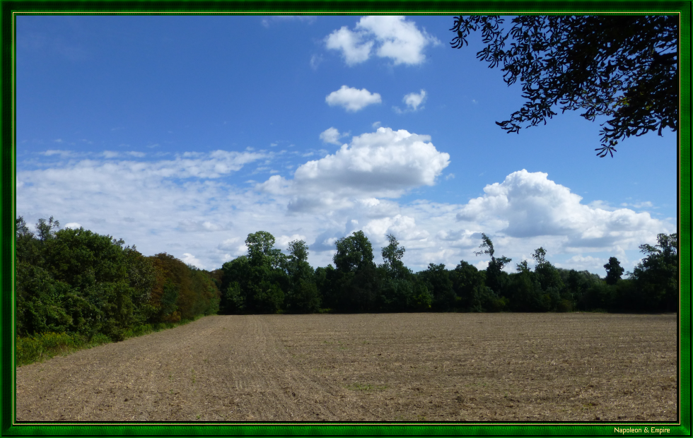 Lobau Island (view number 7)