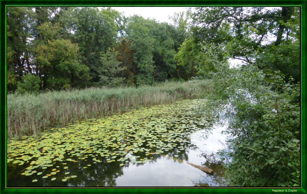 Lobau and an arm of the Danube