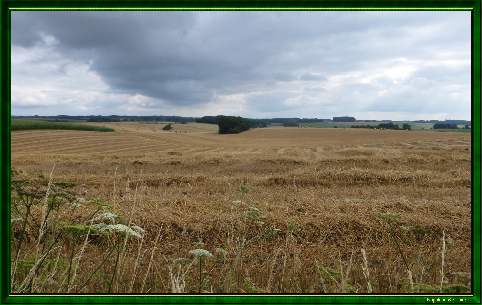 Field north of Plancenoit