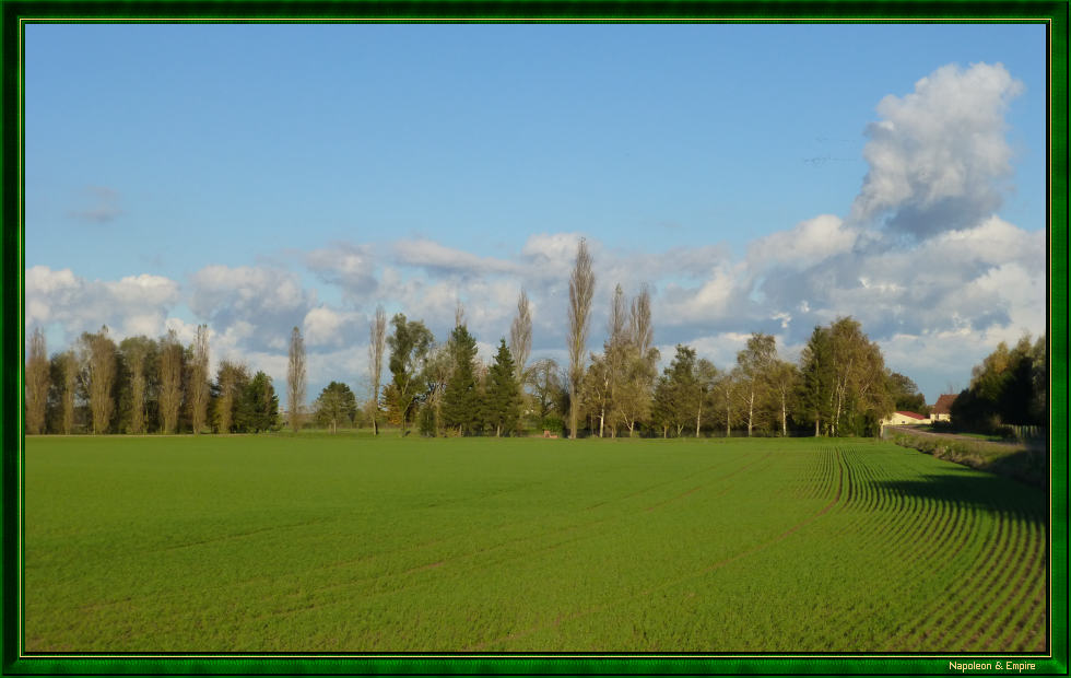 Surroundings of La Rothière (view number 1)